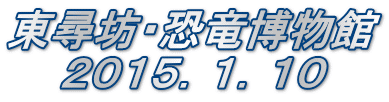 東尋坊・恐竜博物館 ２０１５．１．１０
