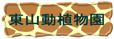 ���R���A����