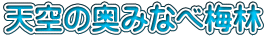 天空の奥みなべ梅林